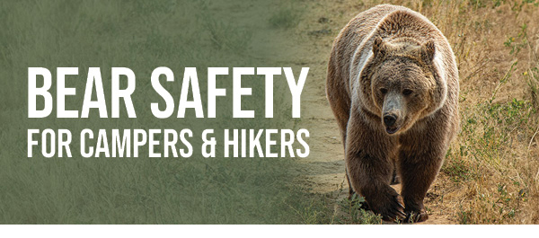 BEAR SAFETY FOR CAMPERS AND HIKERS